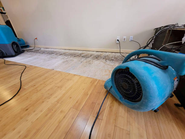 Professional Flood Damage Cleanup technician working in Riga, MI