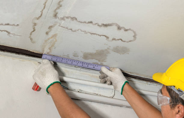 Affordable Flood Damage Cleanup solutions in Riga, MI